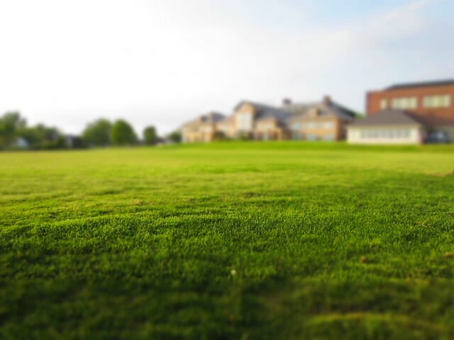 Pelouse, Gazon, Fauchage, Vert, Nature