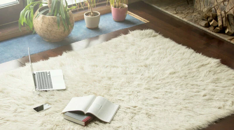 remedes-nettoyage-tapis-800x445jpg